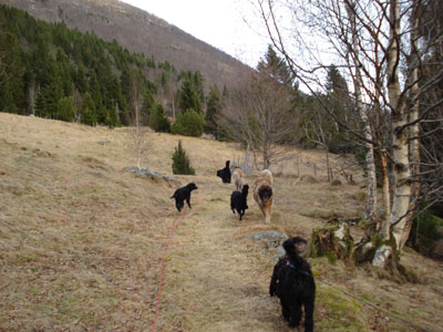 Fjelltur