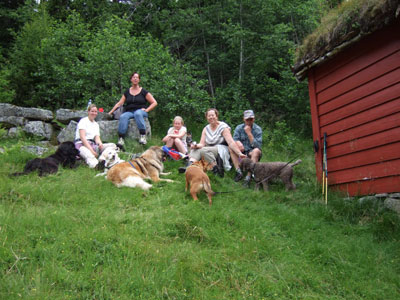 Fjelltur