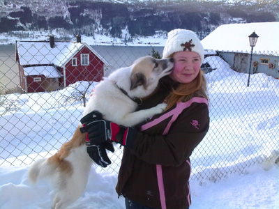 Hundekos