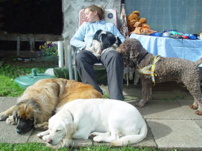 Siesta